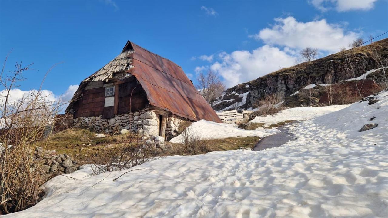 Winter Park Residence بيلاسنيكا المظهر الخارجي الصورة