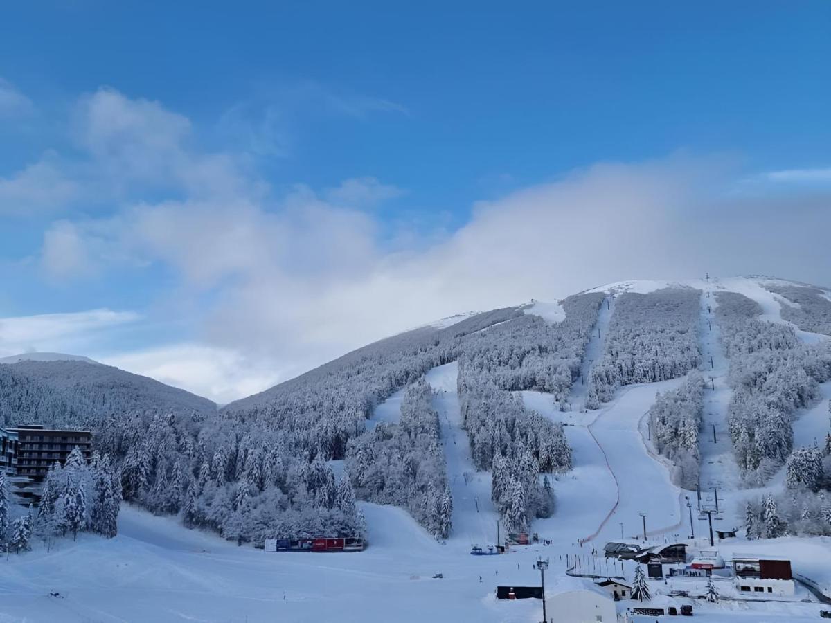 Winter Park Residence بيلاسنيكا المظهر الخارجي الصورة