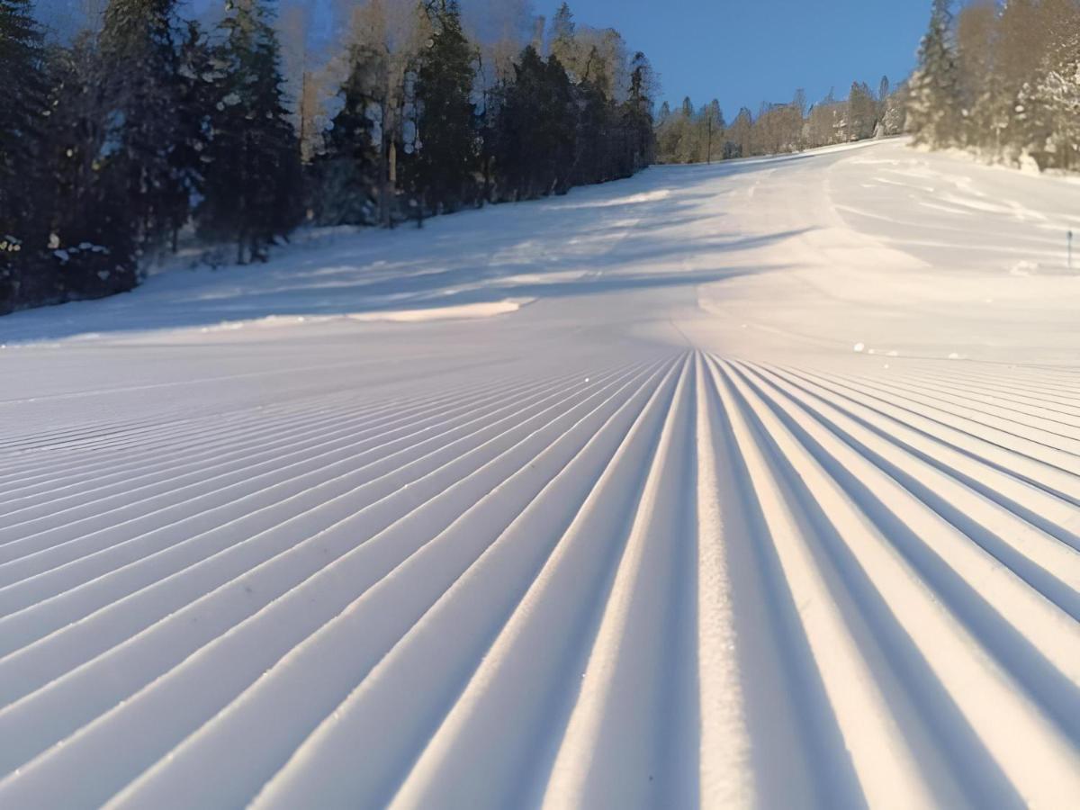 Winter Park Residence بيلاسنيكا المظهر الخارجي الصورة